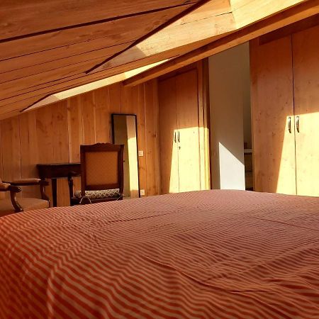 L'Annexe De Ma Cabane Bordeaux Eksteriør billede